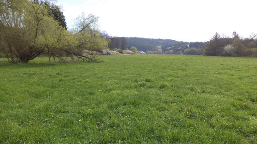 Prodej pozemku, Dešná - Dančovice, 4036 m2