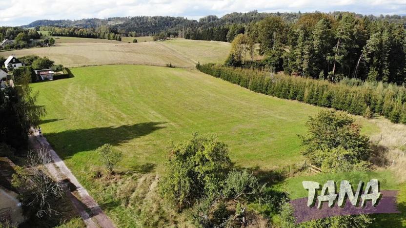 Prodej pozemku pro bydlení, Borovnice, 1000 m2