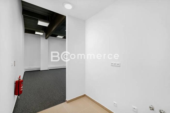 Pronájem výrobních prostor, Brno, Vinohradská, 446 m2