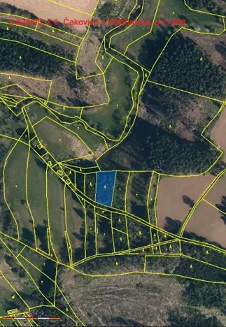 Prodej lesa, Pelhřimov, 1759 m2