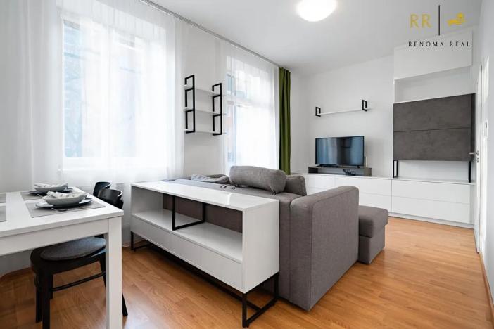 Pronájem bytu 2+kk, Brno, Výstavní, 49 m2