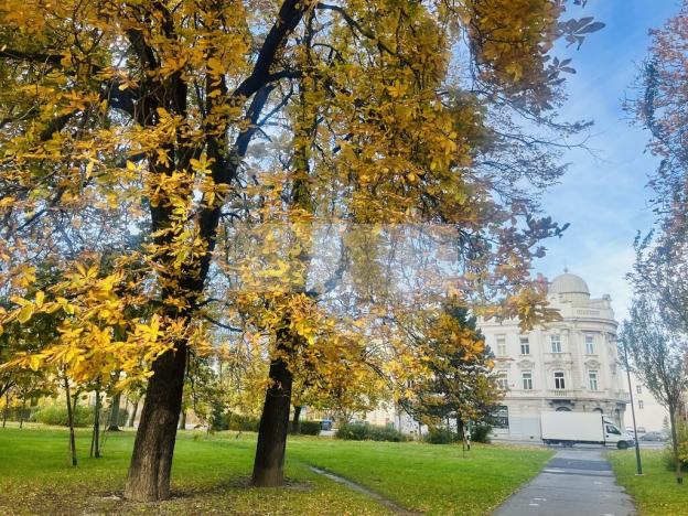 Prodej bytu 3+1, Ostrava, Mariánskohorská, 68 m2