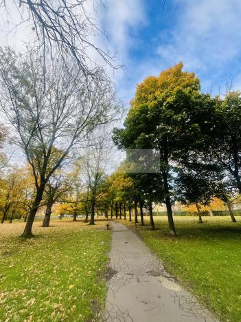 Prodej bytu 3+1, Ostrava, Mariánskohorská, 68 m2