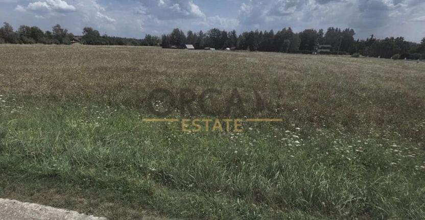 Prodej louky, Jetětice, 35942 m2