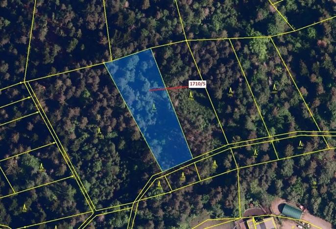 Dražba lesa, Návsí, 3528 m2