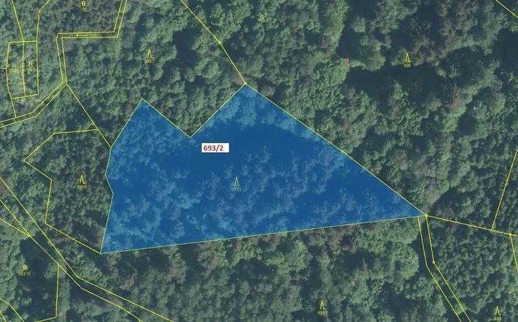 Dražba lesa, Lačnov, 7364 m2