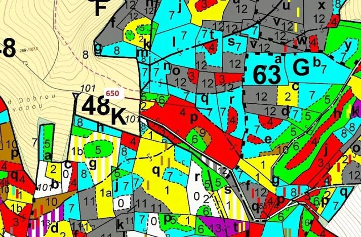 Dražba lesa, Kuřimany, 3688 m2