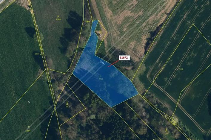 Dražba louky, Olešná, 3211 m2