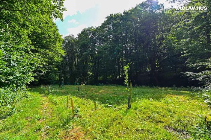 Prodej chalupy, Paseka, 116 m2