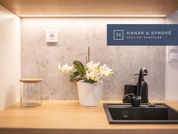 Pronájem bytu 1+kk, Brno, Cejl, 31 m2