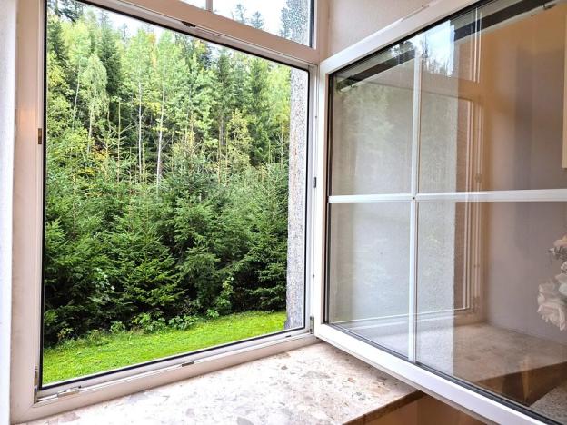 Prodej bytu 2+1, Bayerisch Eisenstein, Německo, Bahnhofstraße, 53 m2