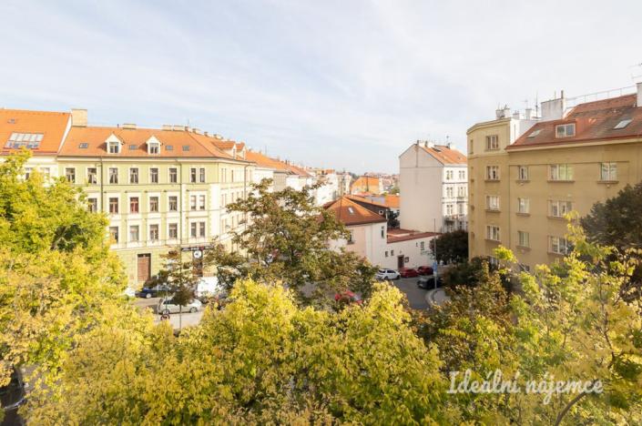 Pronájem bytu 2+kk, Praha - Vinohrady, Na Kozačce, 52 m2