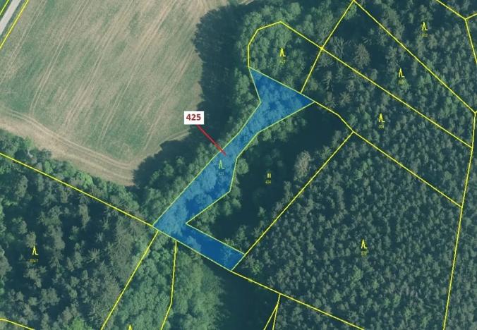 Dražba lesa, Kuřimany, 1719 m2