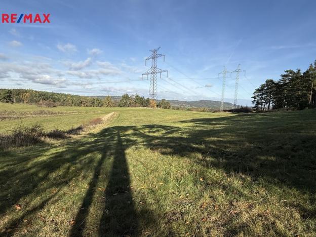 Prodej louky, Nečín, 16453 m2