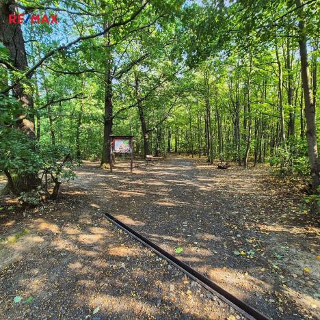 Pronájem bytu 3+1, Praha - Bohnice, Lindavská, 77 m2