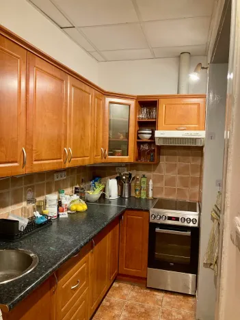 Pronájem bytu 2+kk, Praha - Košíře, Vrchlického, 50 m2