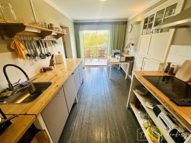 Prodej vícegeneračního domu, Třebušín, 750 m2