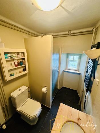 Prodej vícegeneračního domu, Třebušín, 750 m2