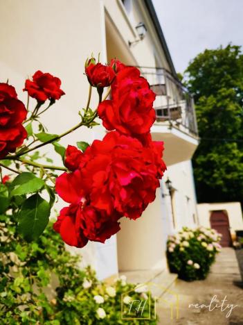 Prodej vícegeneračního domu, Třebušín, 750 m2