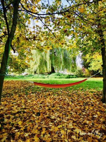 Prodej vícegeneračního domu, Třebušín, 750 m2