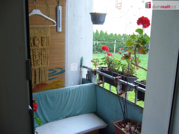 Pronájem bytu 2+1, Děčín - Děčín IV-Podmokly, Revoluční nám., 58 m2