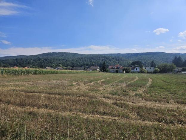 Prodej pozemku pro bydlení, Lety, Prostřední, 6873 m2