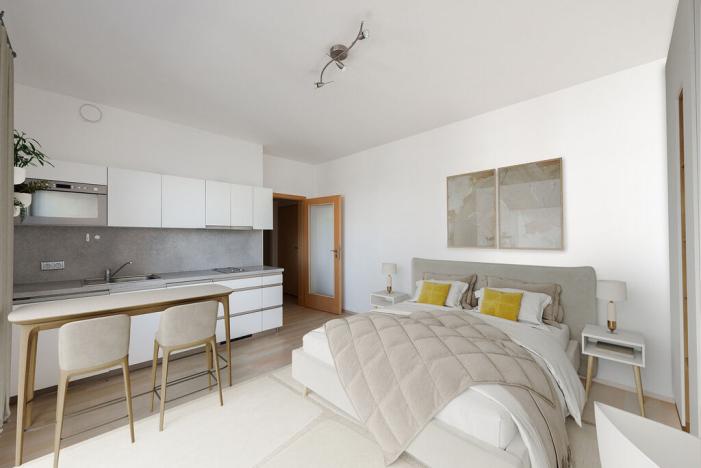 Pronájem bytu 1+kk, Praha - Zličín, Sazovická, 28 m2