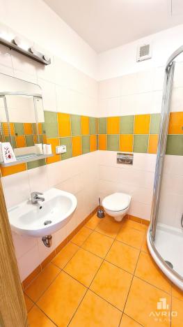 Prodej bytu 1+kk, Brno, Božetěchova, 24 m2