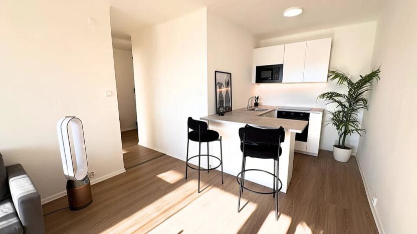 Prodej bytu 2+kk, Praha - Smíchov, Holečkova, 51 m2