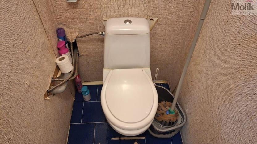 Prodej bytu 3+1, Teplice, Pražská, 68 m2