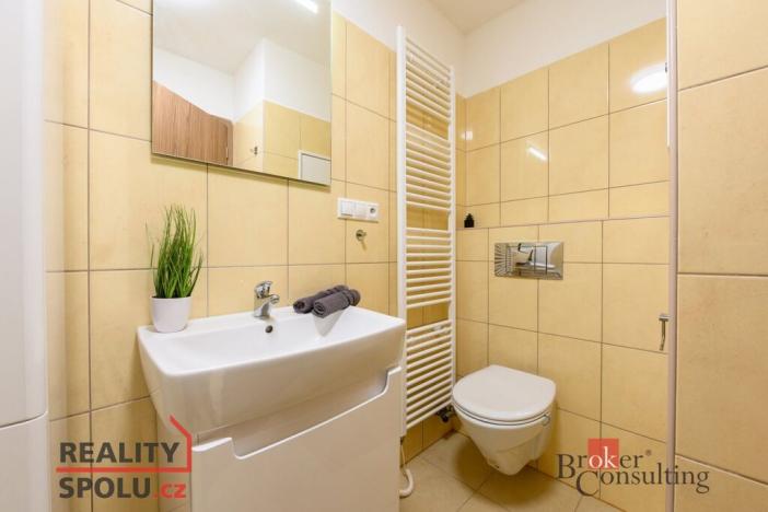 Pronájem bytu 2+kk, Plzeň - Bolevec, U Velkého rybníka, 59 m2