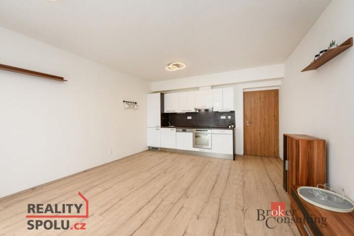 Pronájem bytu 2+kk, Plzeň - Bolevec, U Velkého rybníka, 59 m2