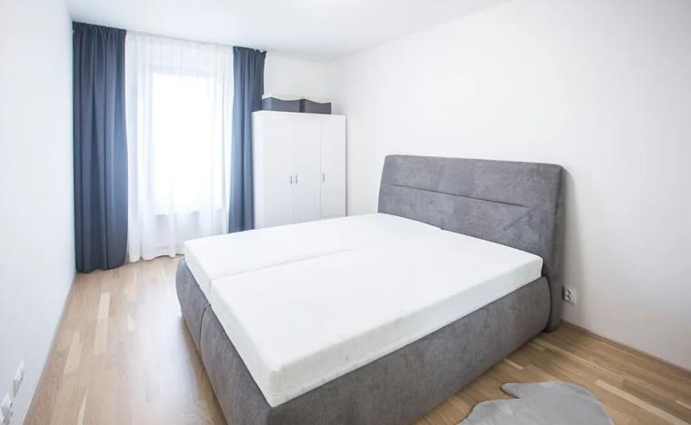 Pronájem bytu 2+kk, Praha - Karlín, Nekvasilova, 56 m2