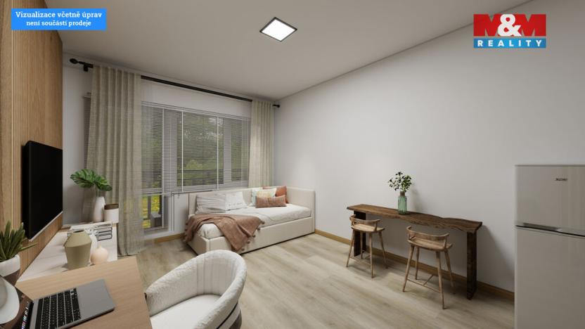 Prodej bytu 1+kk, Děčín - Děčín III-Staré Město, Žerotínova, 28 m2