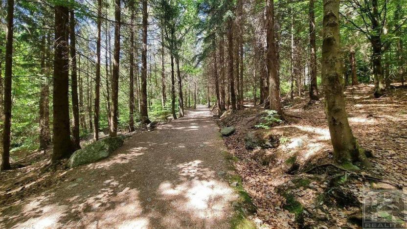 Prodej bytu 2+kk, Bedřichov, 50 m2