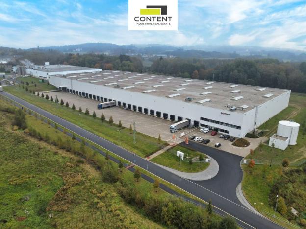 Pronájem výrobních prostor, Aš, Skandinávská, 10000 m2