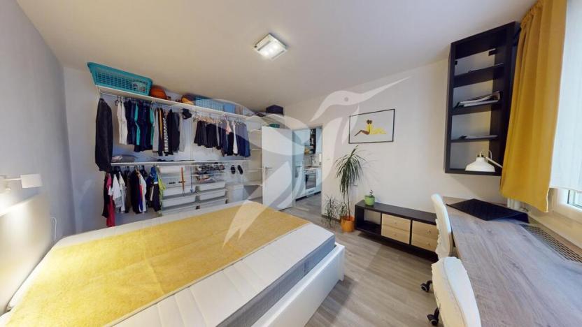 Pronájem bytu 1+1, Dýšina, K Chlumu, 35 m2