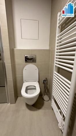 Pronájem bytu 1+kk, Plzeň, Pilařská, 42 m2