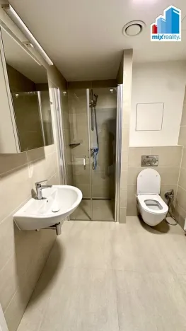 Pronájem bytu 1+kk, Plzeň, Pilařská, 42 m2