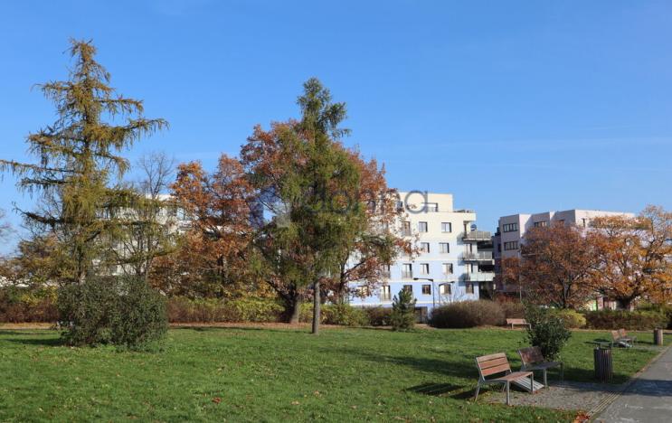 Pronájem bytu 2+kk, Praha - Malešice, Akademická, 56 m2