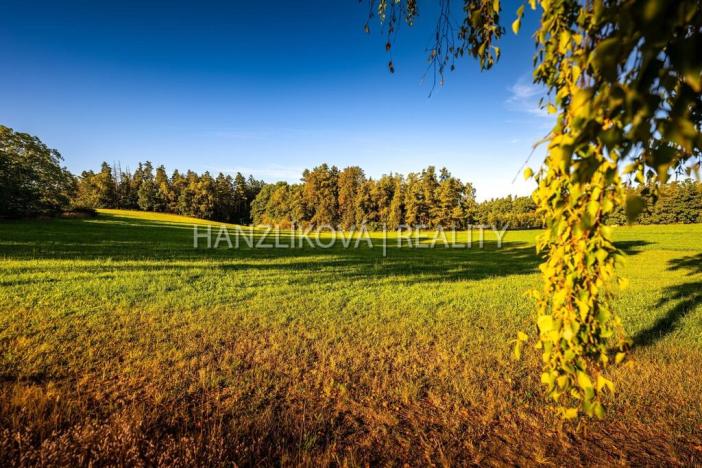 Prodej pozemku pro bydlení, Dubičné, 2000 m2