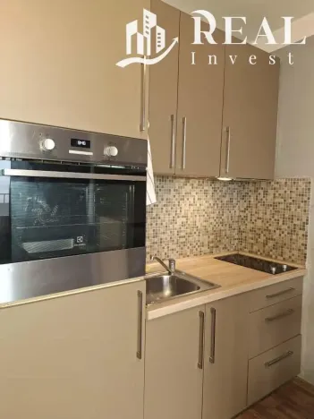 Pronájem bytu 1+kk, Chomutov, Seifertova, 20 m2