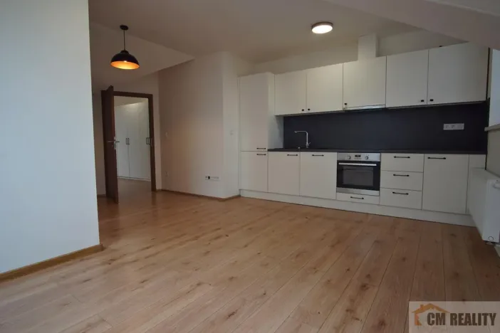 Pronájem bytu 2+kk, Olomouc - Hodolany, Holická, 52 m2