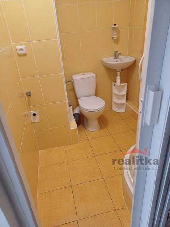 Pronájem bytu 1+kk, Opava, Antonína Sovy, 22 m2