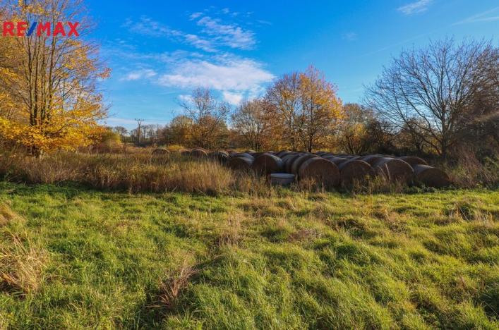 Prodej zemědělského objektu, Jistebnice, Tisová, 2319 m2
