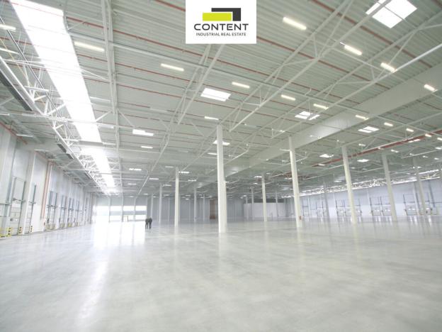 Pronájem skladu, Syrovice, 5063 m2