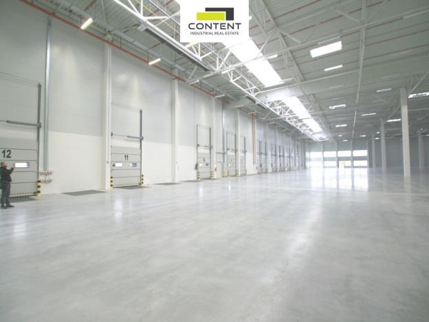 Pronájem skladu, Syrovice, 5063 m2