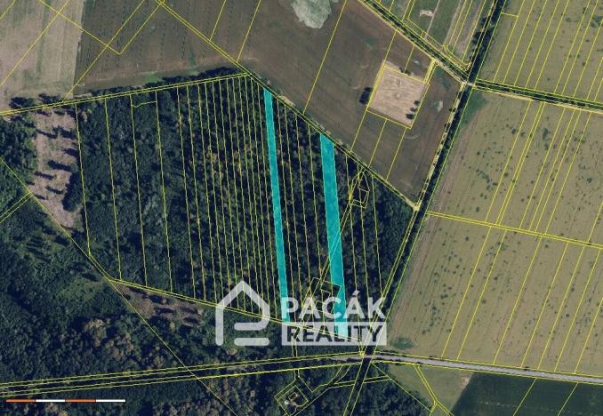 Prodej lesa, Pňovice, 10670 m2