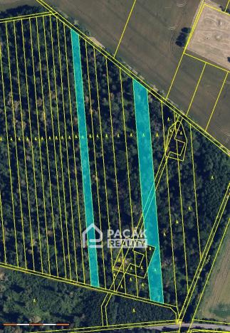 Prodej lesa, Pňovice, 10670 m2