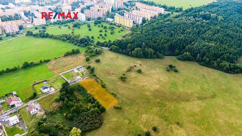 Prodej louky, Česká Lípa, 1212 m2